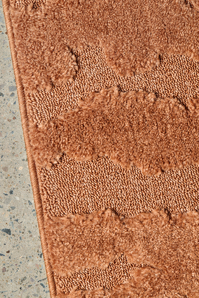 Haven Nyla Sculpted Pattern Rust Rug