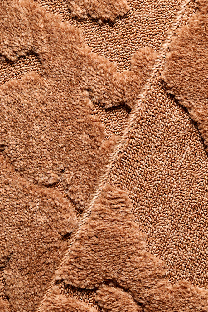 Haven Nyla Sculpted Pattern Rust Rug