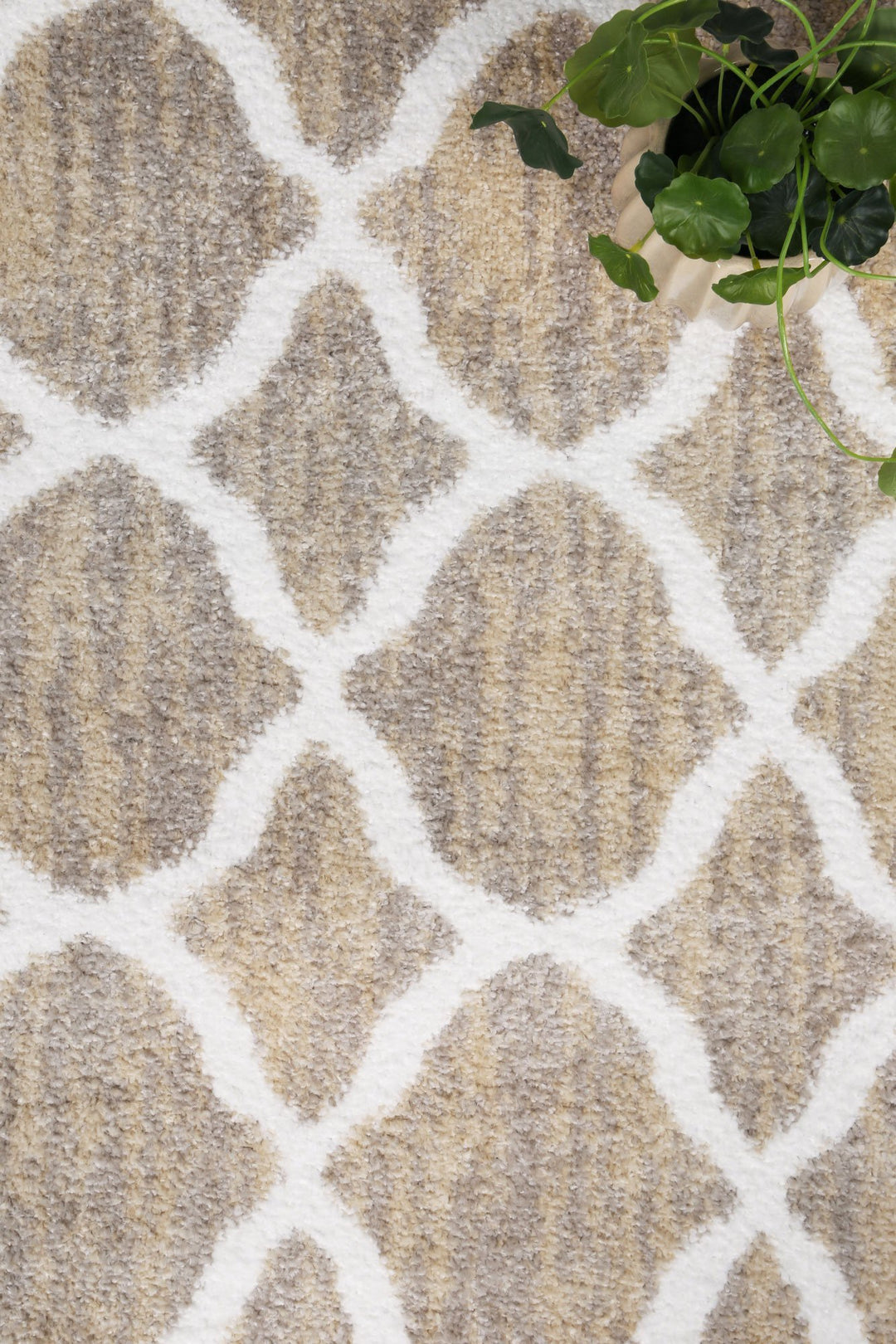 Kimberley Lattice Latte Rug