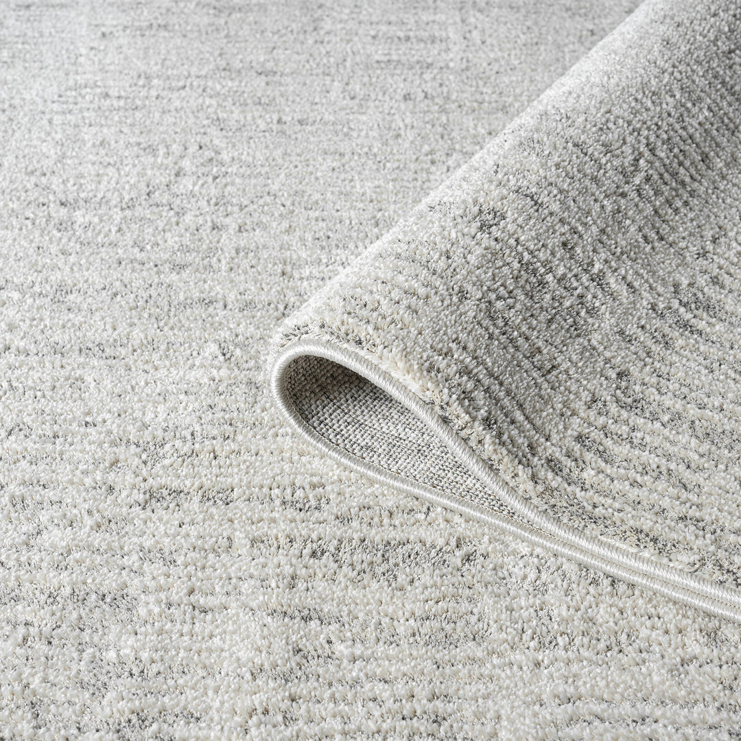 Nature 498 Oyster Runner
