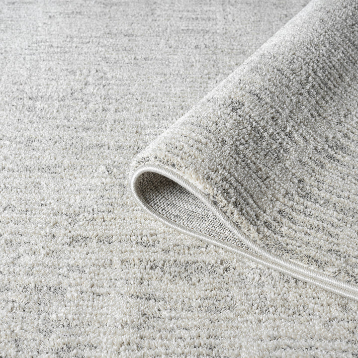 Nature 498 Oyster Runner