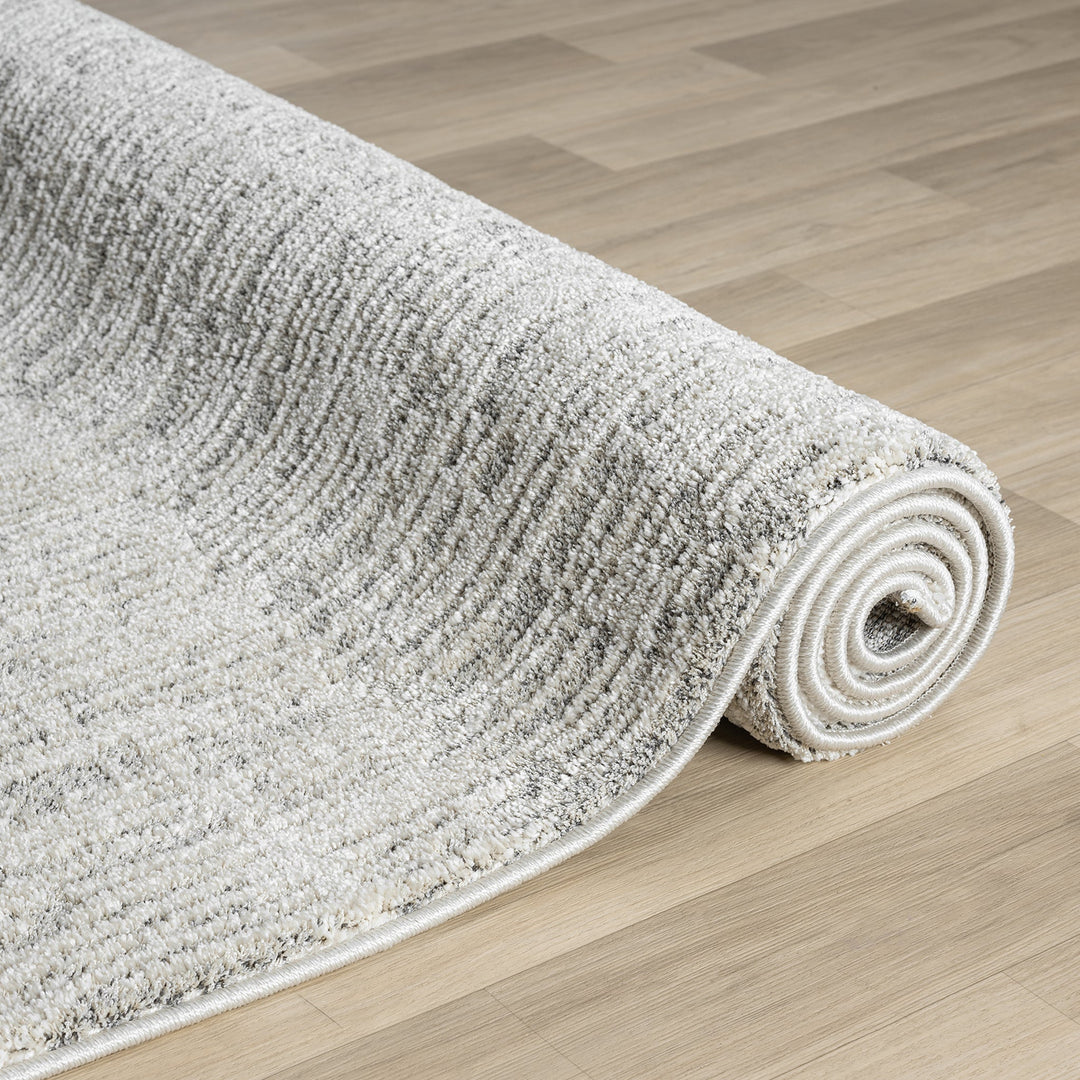 Nature 498 Oyster Runner