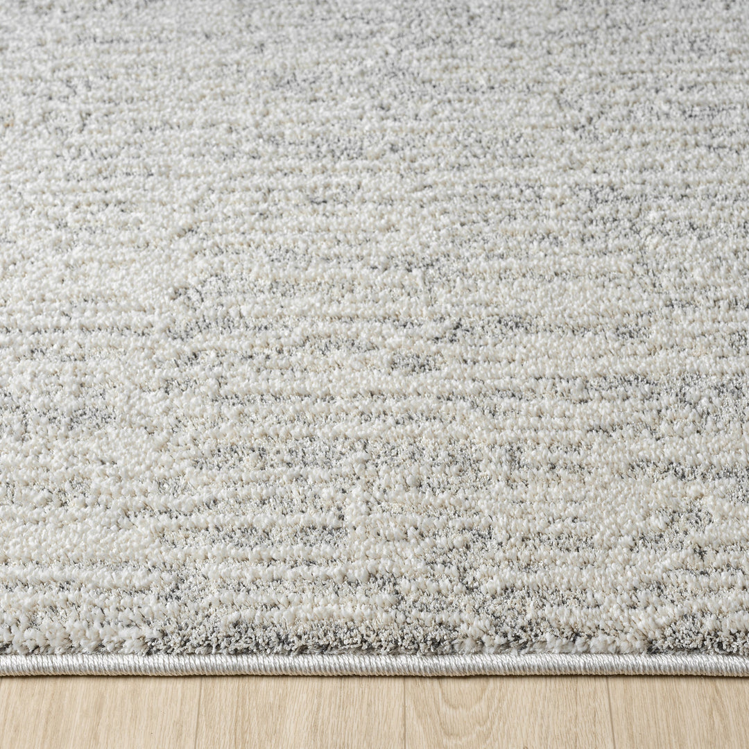 Nature 498 Oyster Runner