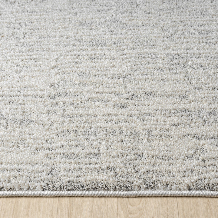 Nature 498 Oyster Runner