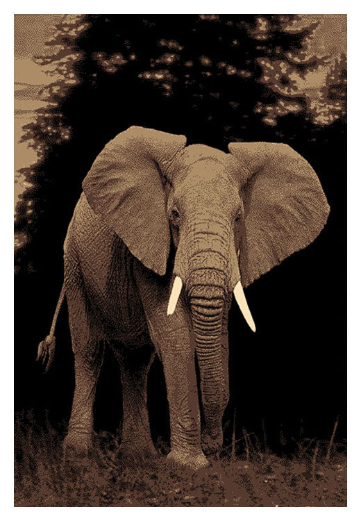 Affordable Elephant
