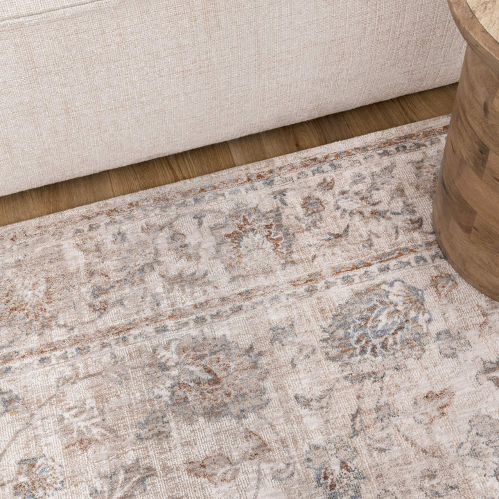 Solenne Multi Transitional Rug