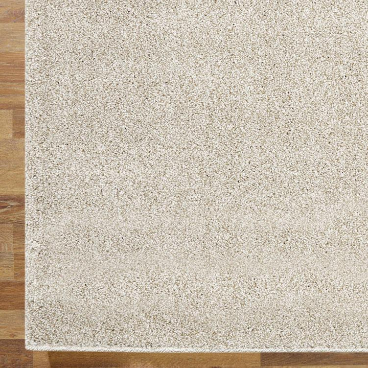 Simple 6365 Beige Hallway Runner
