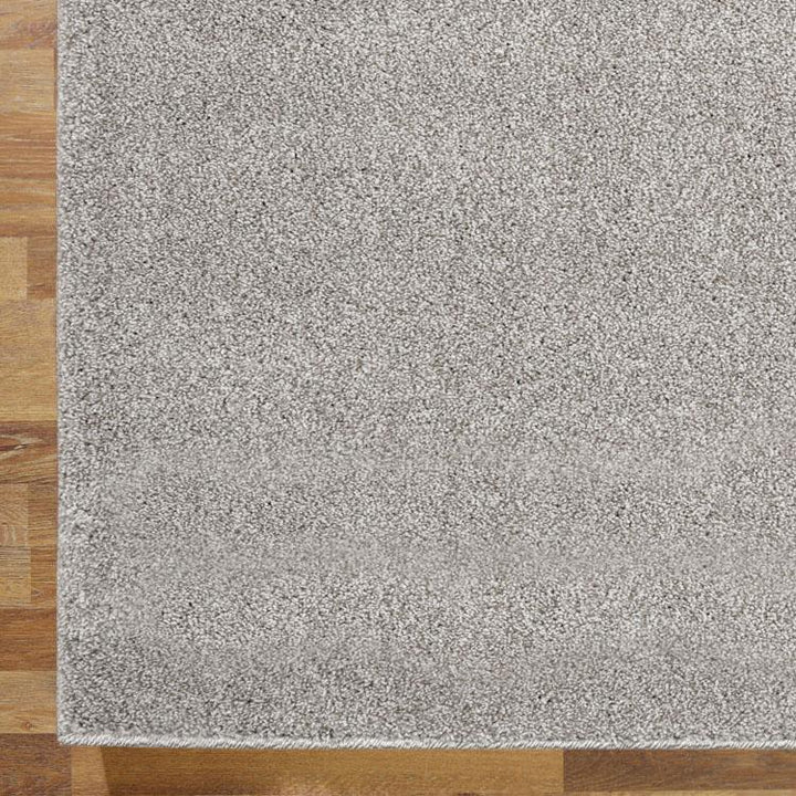 Simple 6365 Light Grey Hallway Runner